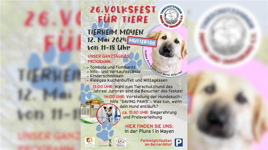 Tierheim in Mayen feiert zum 26. Mal Volksfest für Tiere
