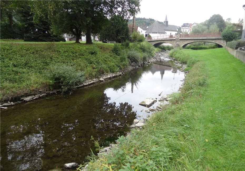 Wasserbaumaßnahmen am Trierbach
starten im Sommer