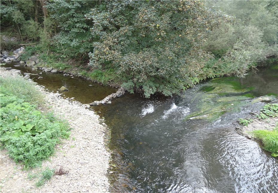 Wasserbaumaßnahmen am Trierbach
starten im Sommer