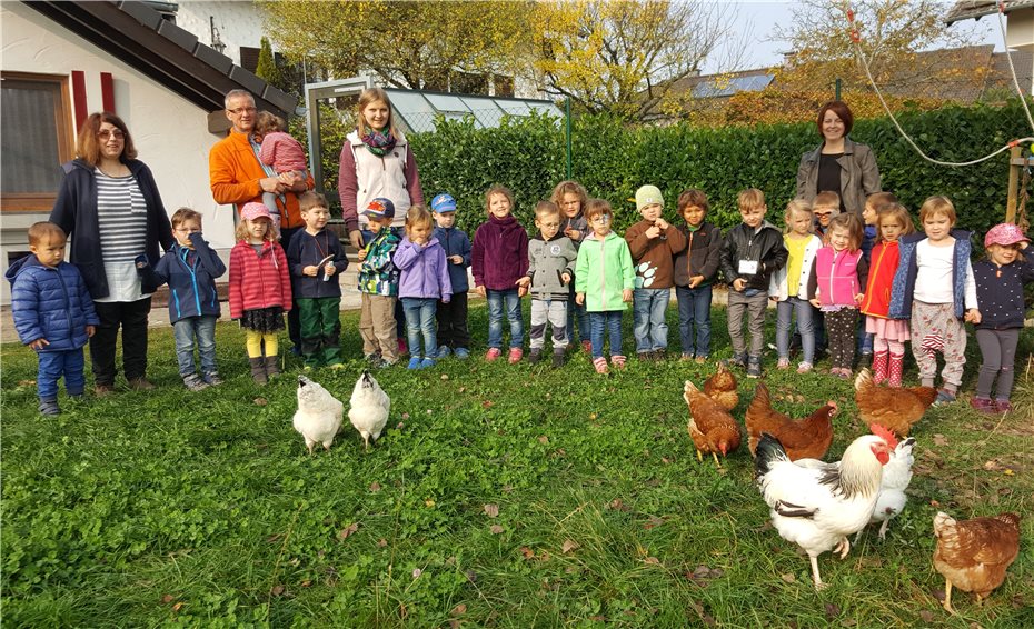 Ein Besuch auf dem Hühnerhof