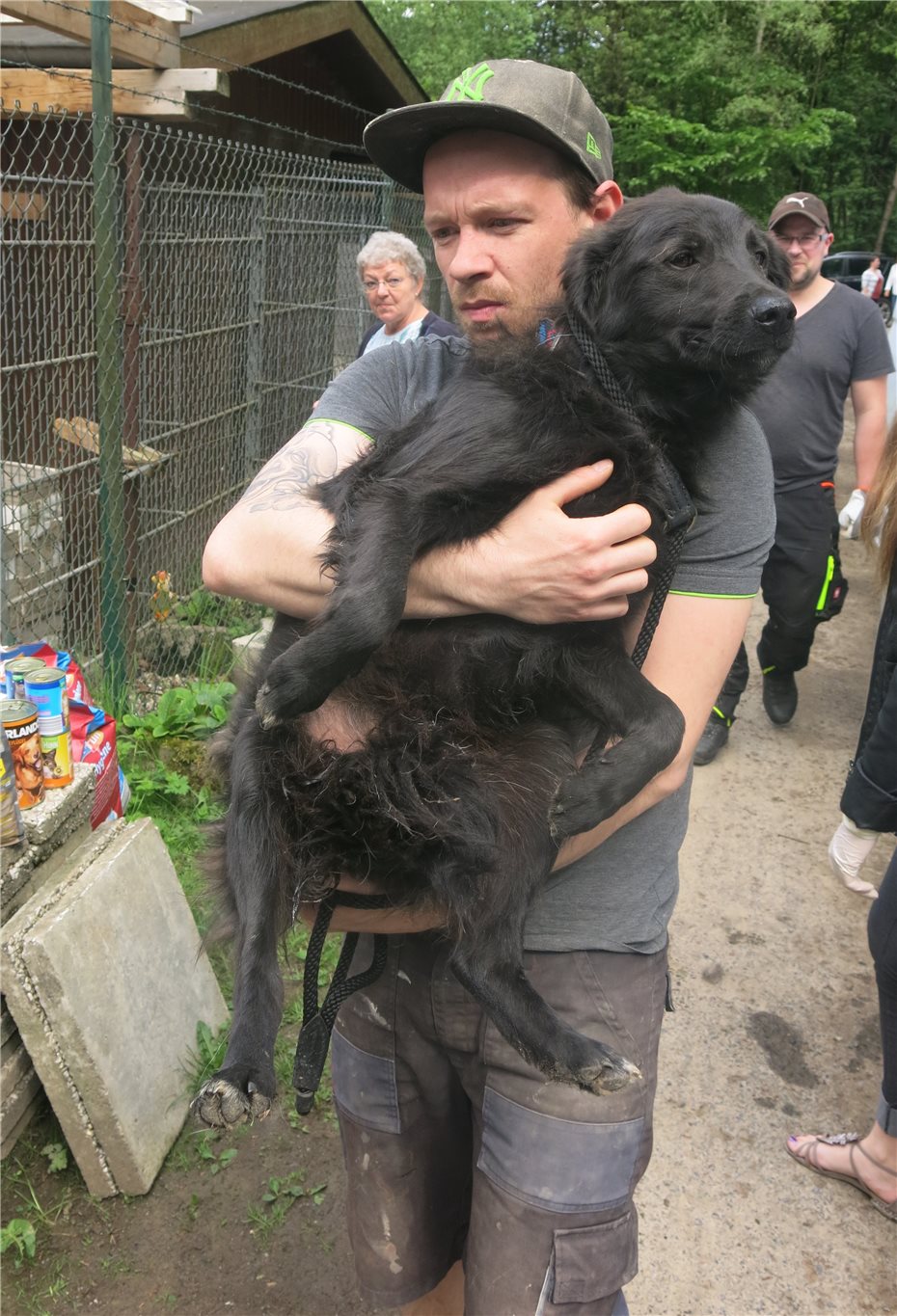 Hunde aus Rumänien übernommen