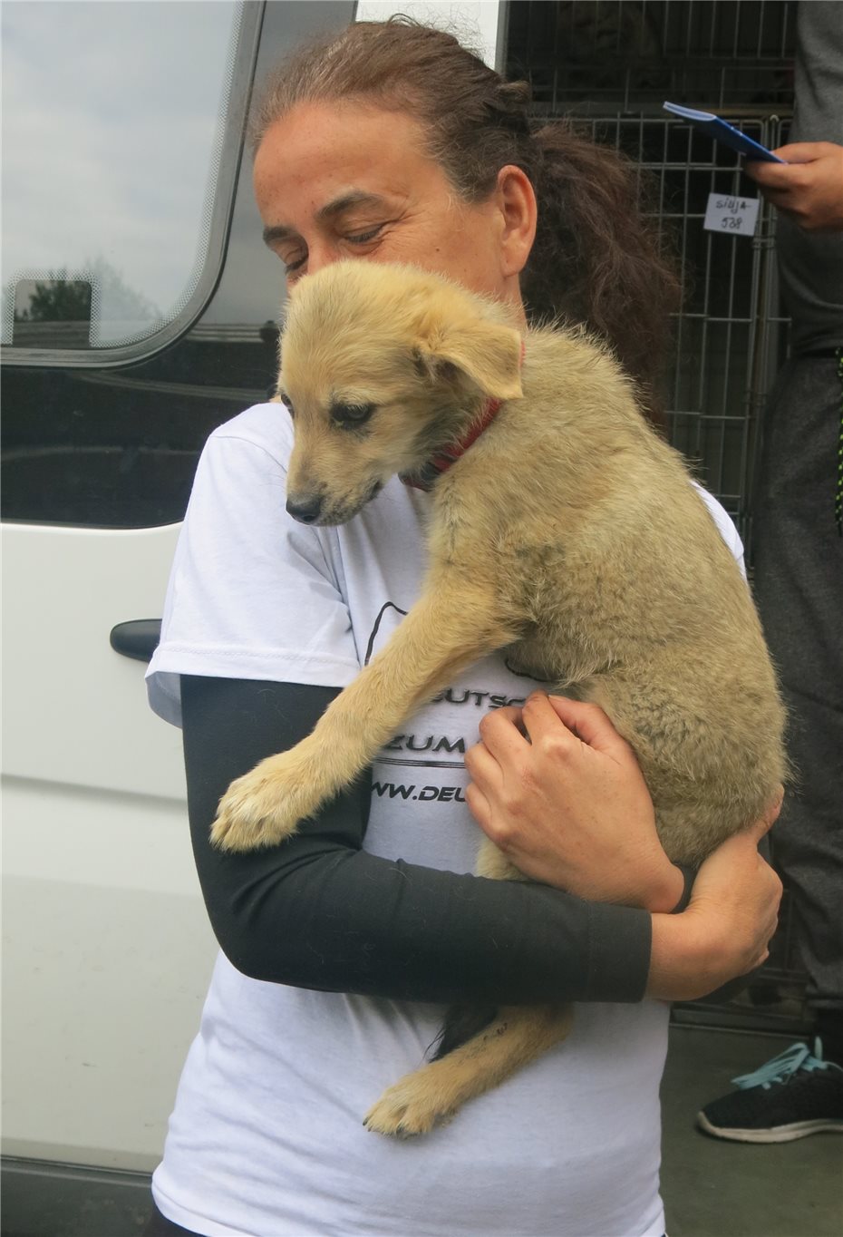 Hunde aus Rumänien übernommen