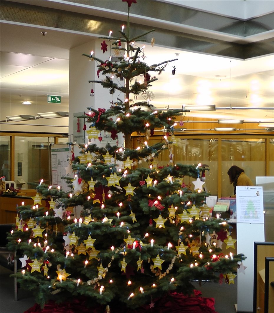 Start der DKSB-Aktion
Weihnachtswunschbaum