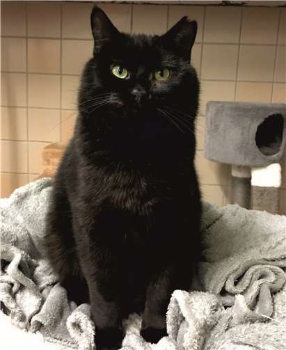 Camillo sucht ein großes Zuhause zum Ausleben