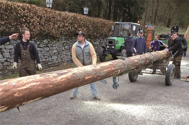 Kein Verständnis fürs Brauchtum ? Die Weiterfahrt mit dem Maibaum wurde aufgrund der Überlänge, einem nicht zugelassenen Fahrzeug für Langholztransporte und der unzureichenden Ladungssicherung von den Beamten der PI Adenau untersagt.