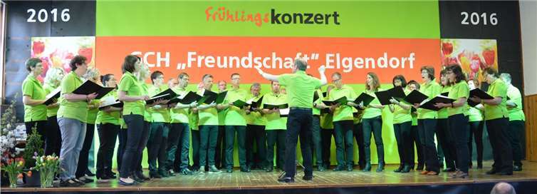 Ein facettenreiches Repertoire Frühlingsfrisch präsentierte sich der gastgebende gemischte Chor „Freundschaft“ Elgendorf mit Gesang und maigrünen T-Shirts.IF