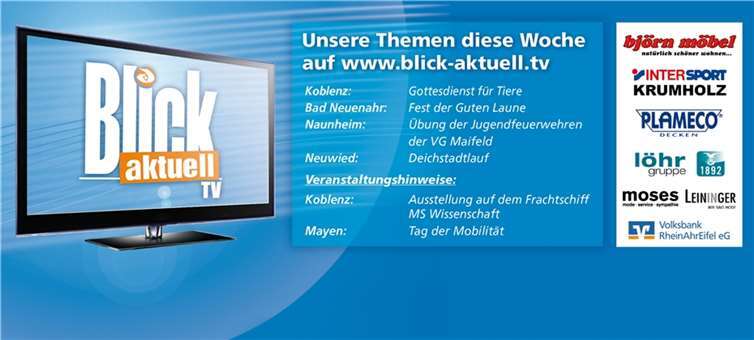 NEUE BLICK WEBSITE IST LIVE visual data 4