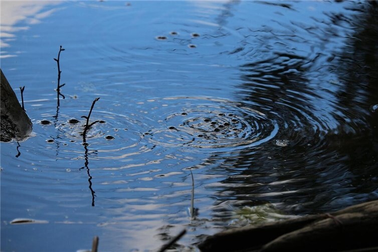 31.10.: Neues Erdbeben in der Osteifel Symbolbild. Foto: Pixabay.com