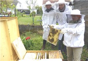 Bienenvölker waren im
kalten April weniger aktiv