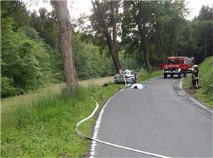 59-jährige Fahrer und sein 53-jähriger Beifahrer prallten mit ihrem Fahrzeug gegen einen Baum