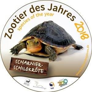 „Zootier des Jahres
2018 – die Scharnierschildkröte“