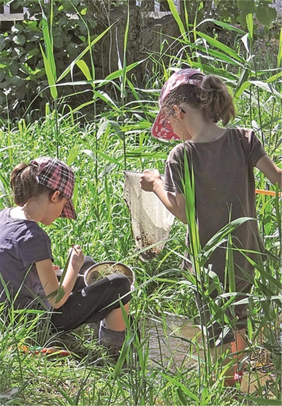 Natur- und Umwelt-
erlebnisse für Kita-Kinder