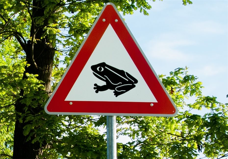 Straßensperrung
wegen Krötenwanderung