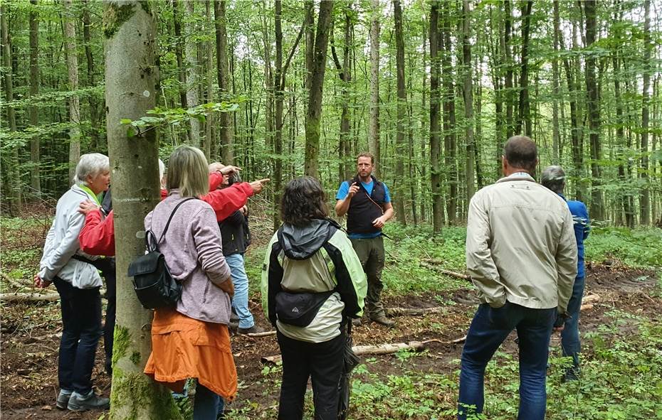 Försterteam führt
durch Wald im Klimawandel
