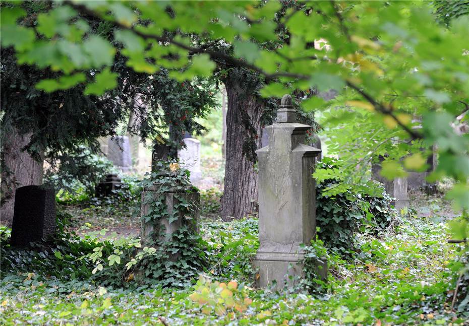 Alter Friedhof offenbart
seine Geheimnisse