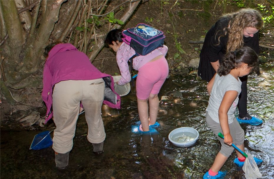 Achtung nass: Kinder
entdeckten den Bach und seine Bewohner