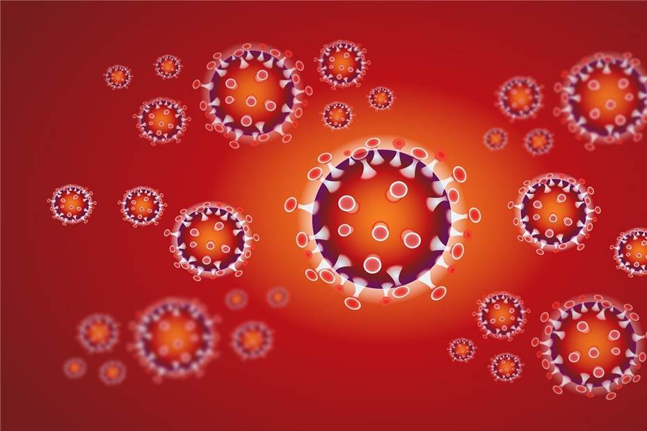 Sieben Neuinfektionen im Kreisgebiet