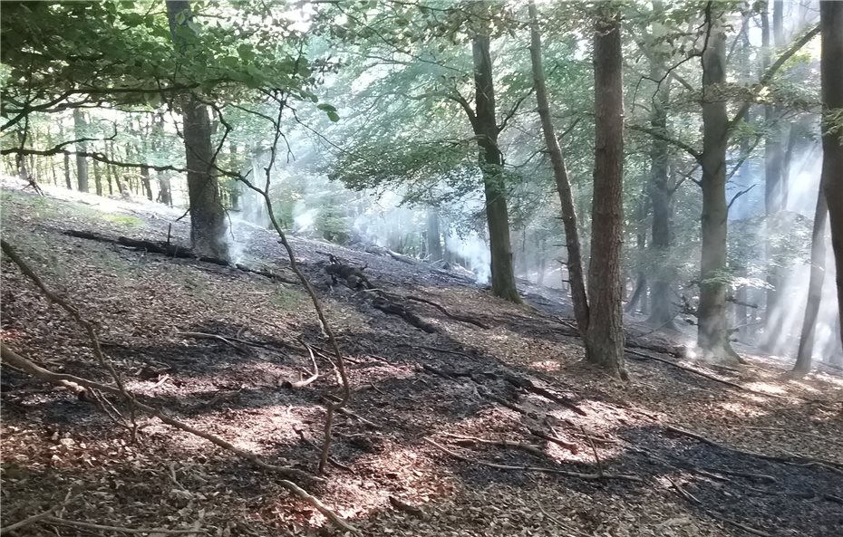 Waldbrand mit Wipfelfeuer bei Kaltenborn