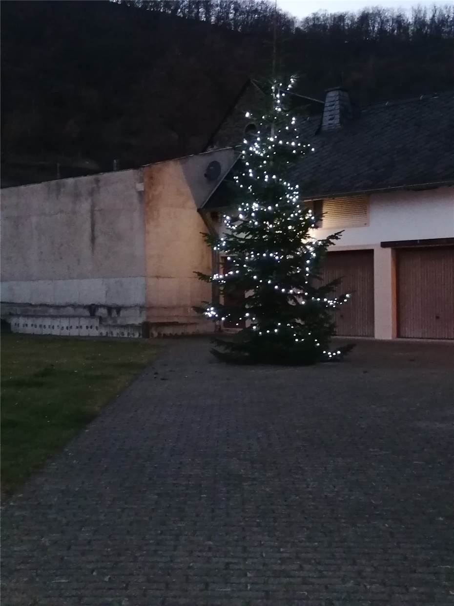 Ein Weihnachtsbaum
für den Ort