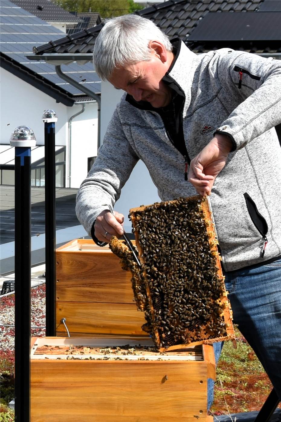 Be(e)Smart – die Bienen sind da
