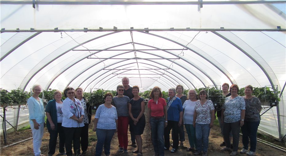 Landfrauen informierten sich über
Erdbeeranbau auf der Grafschaft
