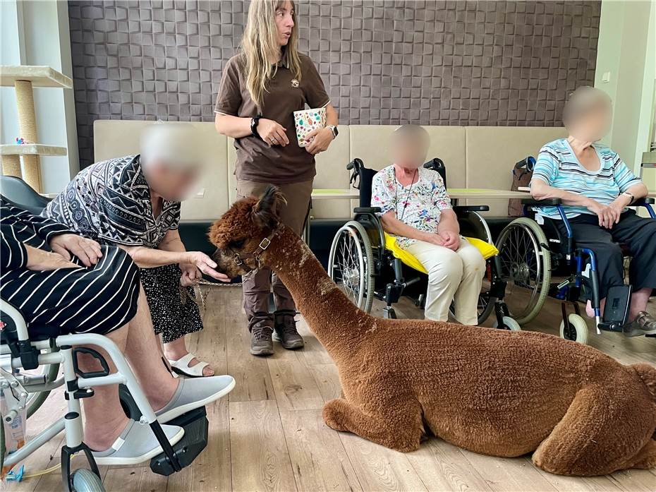 Alpakas besuchen
schwerstkranke Menschen im Hospiz