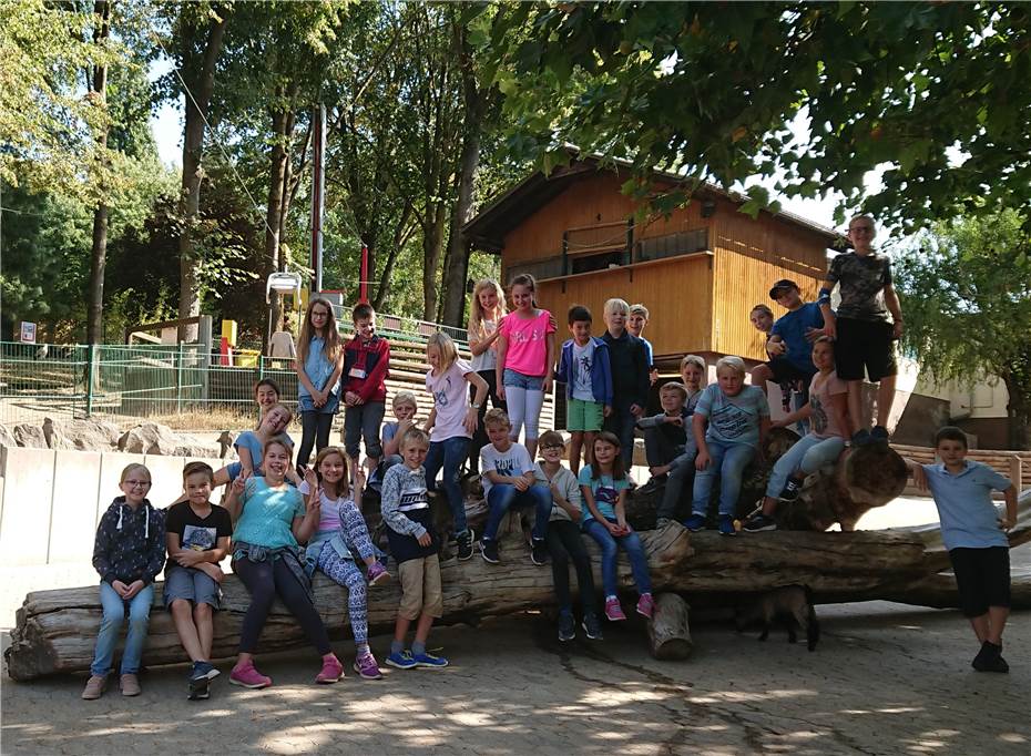 Der Zoo Neuwied ist wichtig
für das Neuwieder Schulleben!