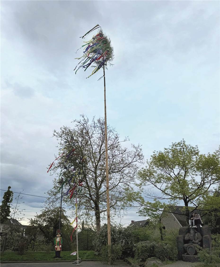 Kinder der Stadtsoldaten stellten
mit vielen kleinen und großen Helfern einen eigenen Maibaum auf