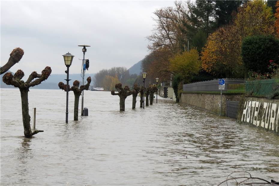 Hochwasser am Rhein 
