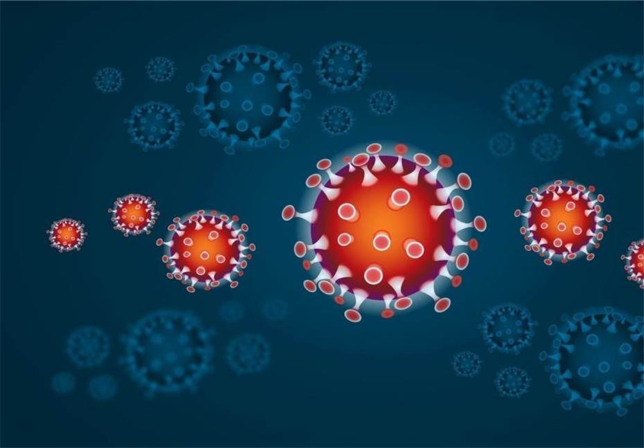 Coronavirus: 71 infizierte Personen im Kreis