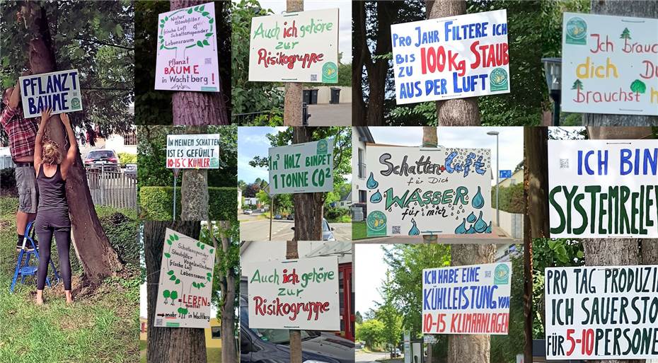 Baumplakate machen
auf Klimaschutz aufmerksam
