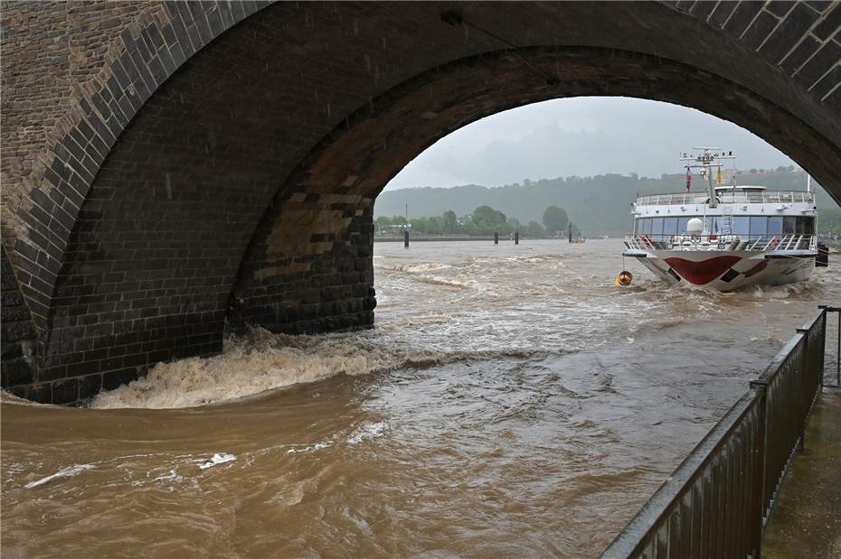 Hochwasser: Treibgut stellt Schifffahrt vor Herausforderungen