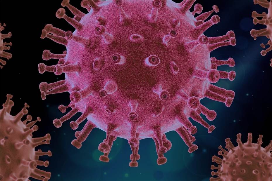 Sieben weitere Infektionen mit dem Coronavirus