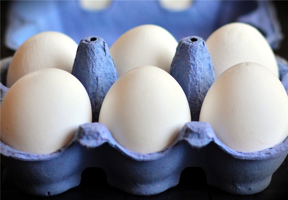Eier aus Rheinland-Pfalz nicht mit Fipronil belastet