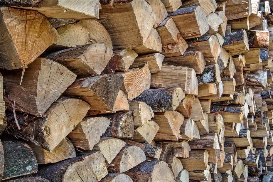 Kostenloses Brennholz für das Ahrtal