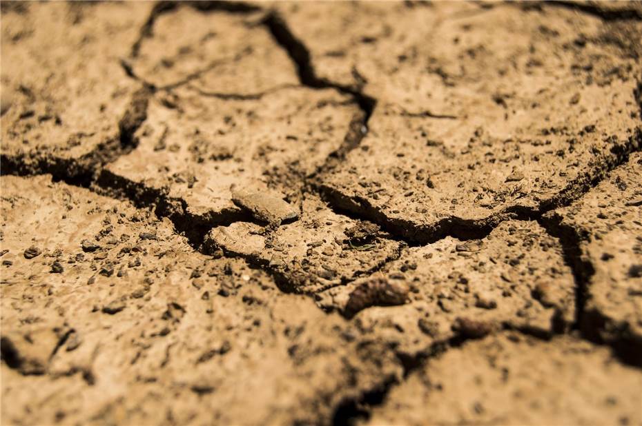 Fehlende Niederschläge lassen Böden stark austrocknen