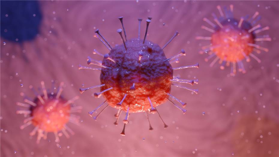 Coronavirus: Vierter Todesfall im Kreis Ahrweiler