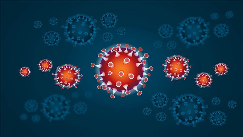 Personen aus Königswinter und Bornheim mit Coronavirus infiziert