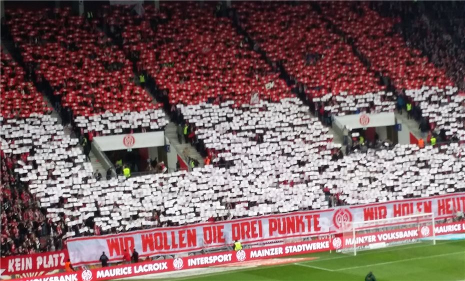 Spontaner Besuch bei Mainz 05