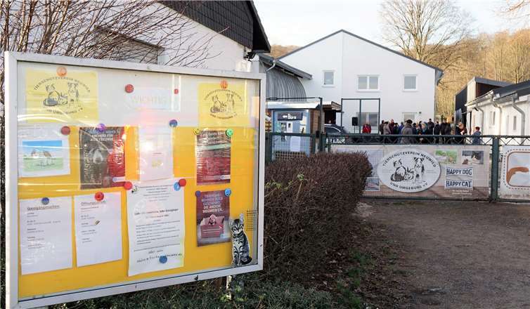 = Die Insolvenz ist zwar abgewendet, das Tierheim ist aber noch nicht über den Berg und weiter auf Spenden angewiesen