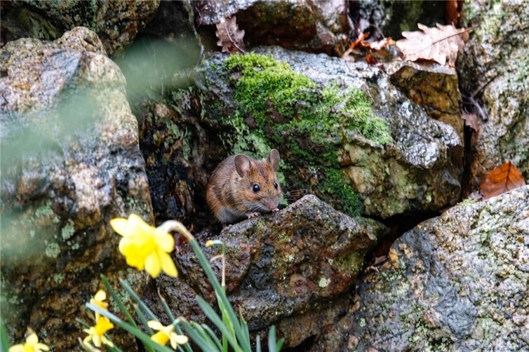  Foto: Christine Klein