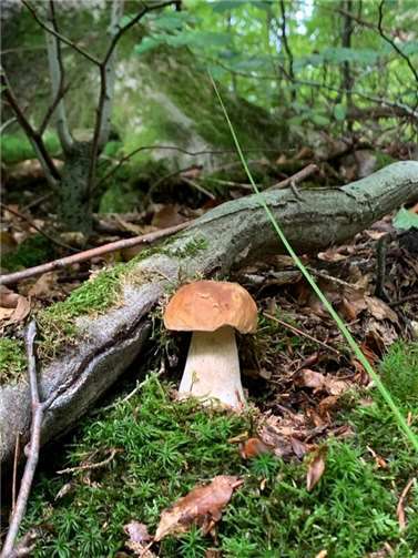  Foto: Irmgard Schröer