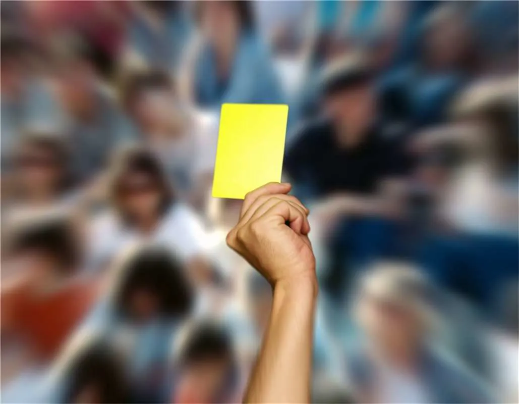Gelbe Karte für Zuschauer im Handball kommt: Aggressive Fans fliegen raus! 