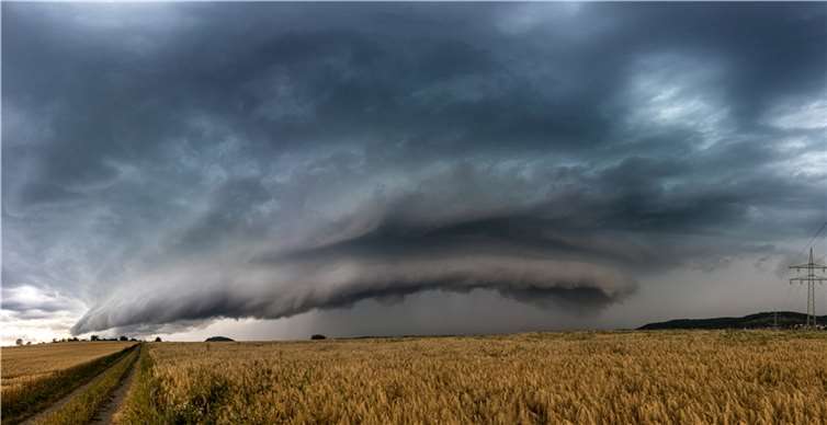  Foto: Michael Jaeger / AdobeStock