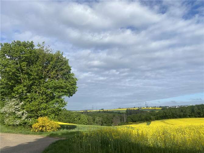  Foto: Natascha Lentes