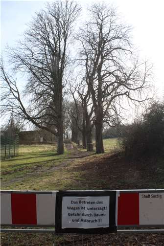  Foto: Stadtverwaltung Sinzig