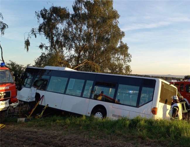 Bus prallt frontal gegen Baum: Fahrer wird hinterm Steuer eingeklemmt Fotos: Feuerwehr VG Rengsdorf-Waldbreitbach