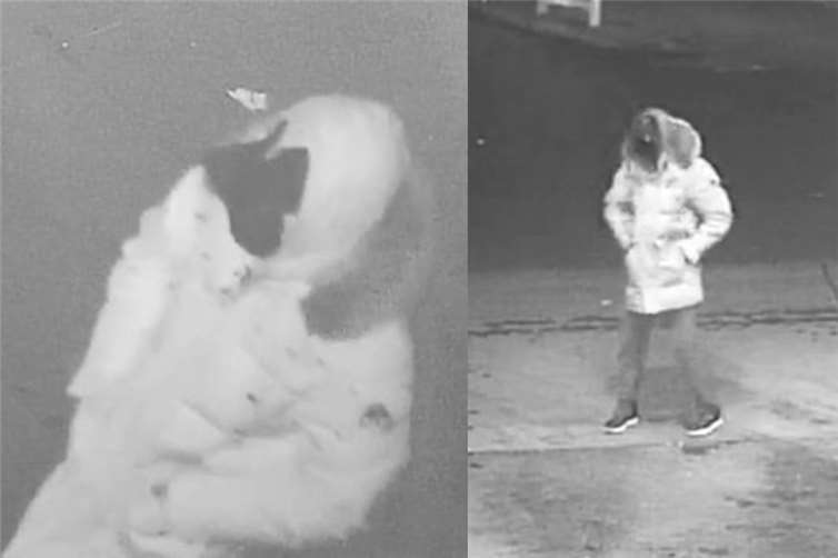 Fotos: Polizei