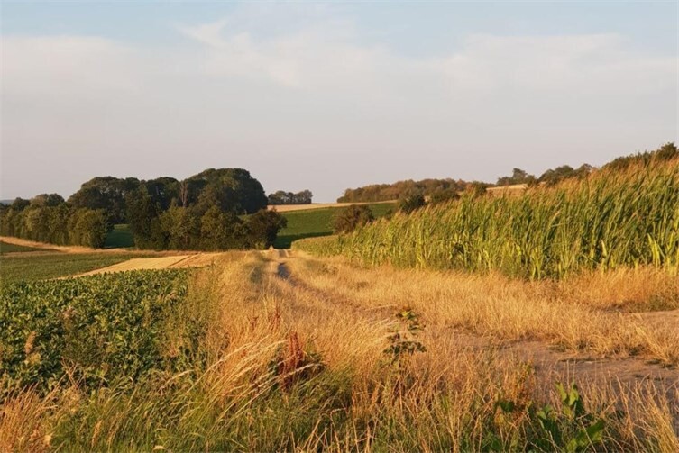  Probewanderung