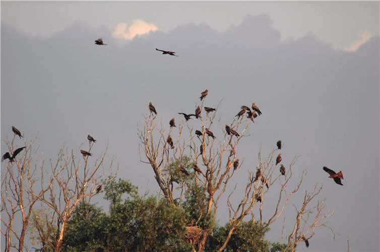  Quelle: Stadt Neuwied